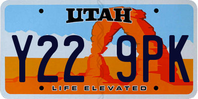 UT license plate Y229PK