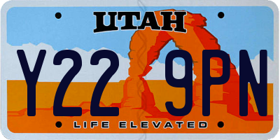 UT license plate Y229PN
