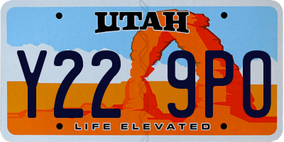 UT license plate Y229PO