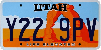UT license plate Y229PV