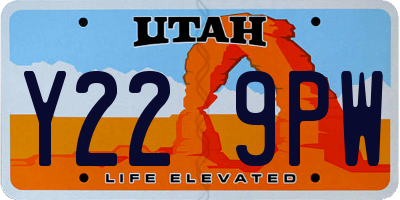 UT license plate Y229PW