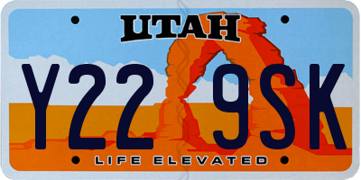 UT license plate Y229SK
