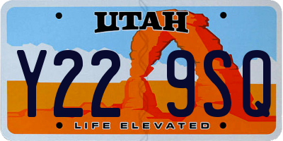 UT license plate Y229SQ