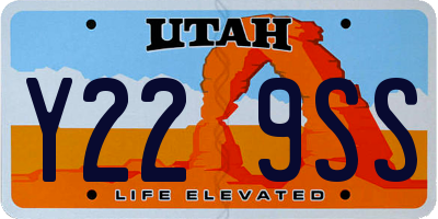UT license plate Y229SS