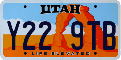 UT license plate Y229TB