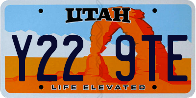 UT license plate Y229TE