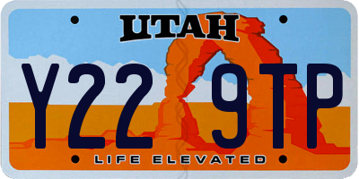 UT license plate Y229TP