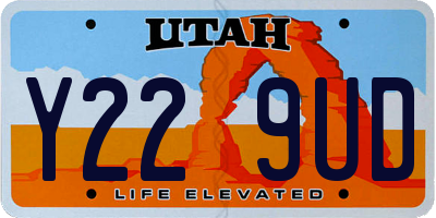 UT license plate Y229UD