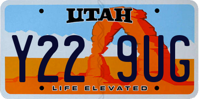 UT license plate Y229UG