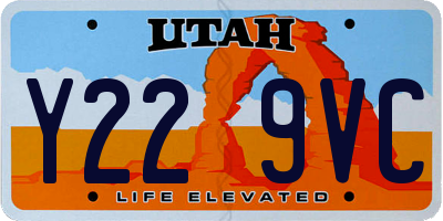 UT license plate Y229VC