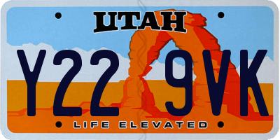 UT license plate Y229VK