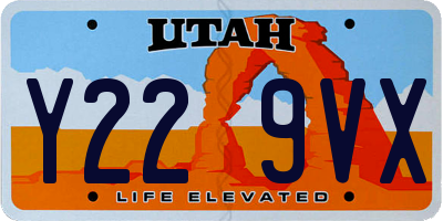 UT license plate Y229VX