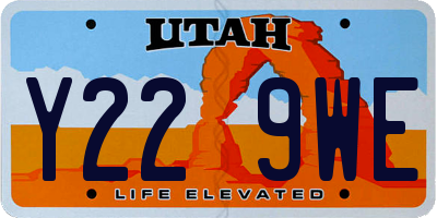 UT license plate Y229WE