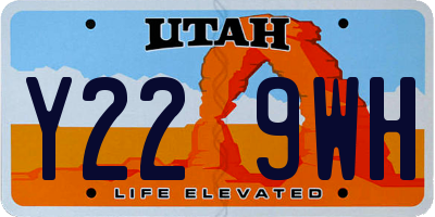 UT license plate Y229WH