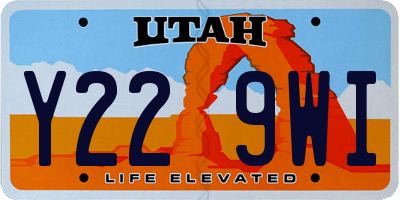 UT license plate Y229WI