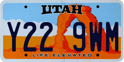 UT license plate Y229WM