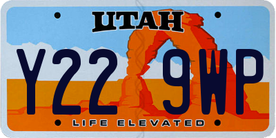 UT license plate Y229WP