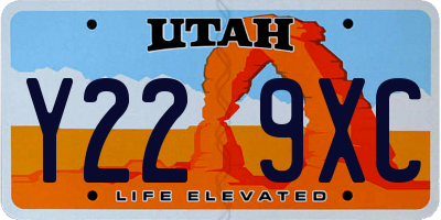 UT license plate Y229XC