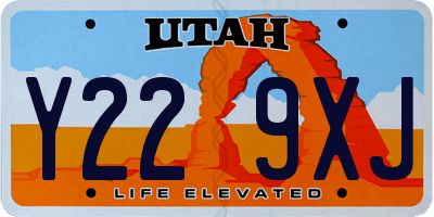 UT license plate Y229XJ