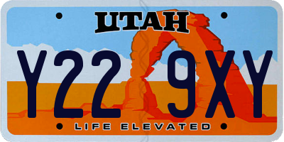 UT license plate Y229XY