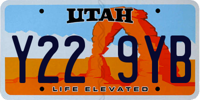 UT license plate Y229YB
