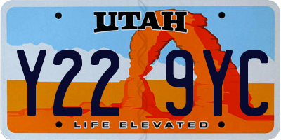UT license plate Y229YC