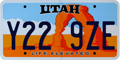 UT license plate Y229ZE