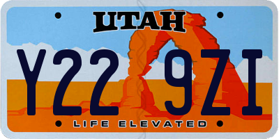 UT license plate Y229ZI