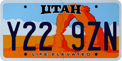 UT license plate Y229ZN