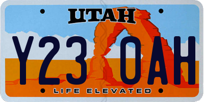 UT license plate Y230AH