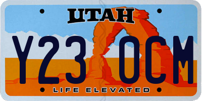 UT license plate Y230CM
