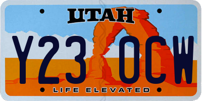 UT license plate Y230CW