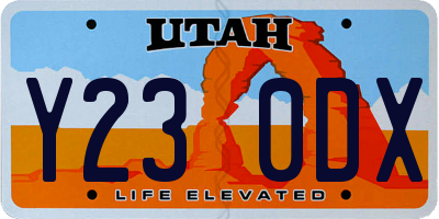 UT license plate Y230DX