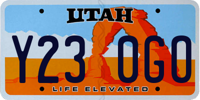 UT license plate Y230GO