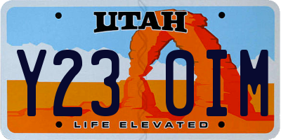 UT license plate Y230IM