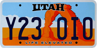 UT license plate Y230IO