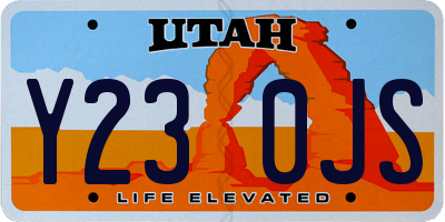 UT license plate Y230JS