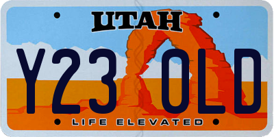 UT license plate Y230LD