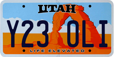 UT license plate Y230LI