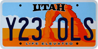 UT license plate Y230LS