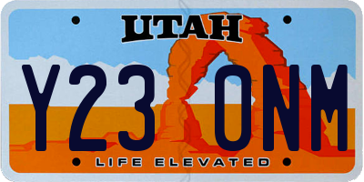 UT license plate Y230NM