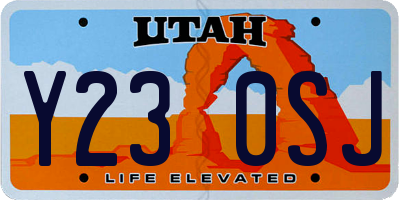 UT license plate Y230SJ