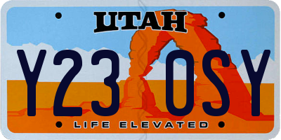 UT license plate Y230SY