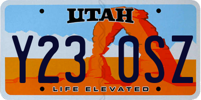 UT license plate Y230SZ