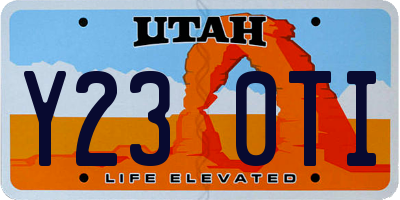 UT license plate Y230TI