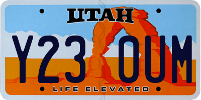 UT license plate Y230UM