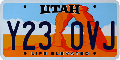UT license plate Y230VJ