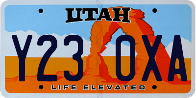 UT license plate Y230XA