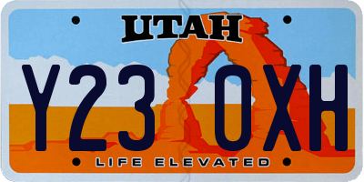 UT license plate Y230XH