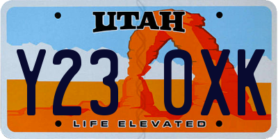 UT license plate Y230XK